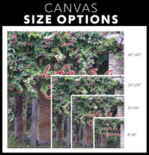 Load image into Gallery viewer, home decor, home paintings, art prints, home artwork, custom art